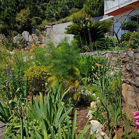 Seaview Tajm Garden & Private Parking Apartamento Opatija